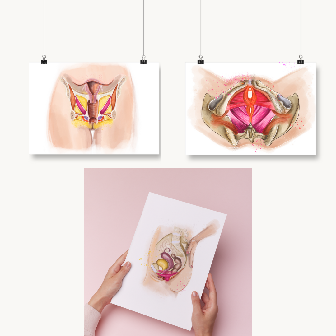 Beckenboden 3er Bundle Poster DIN A4