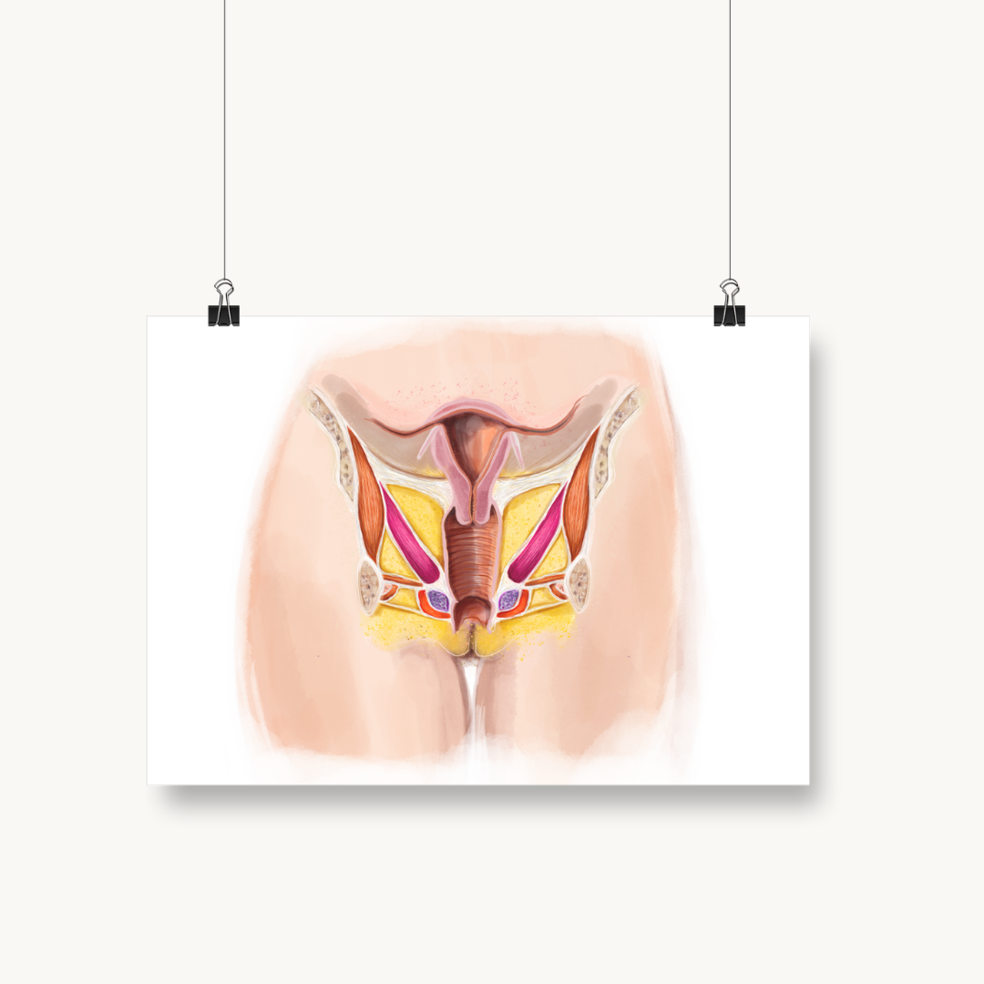 Beckenboden von Vorn Poster DIN A4